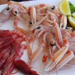 Alfeg Food