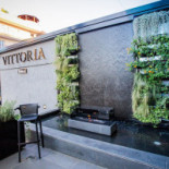 Vittoria Different Comida