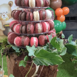 Pasteus Essen