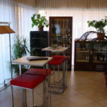 La Cicala