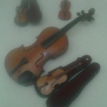 Paganini Cibo