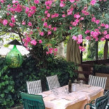 Trattoria Vigna food