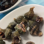 La Balena Nourriture