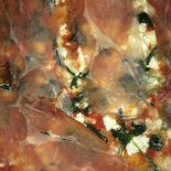 Il Fiore Della Pizza Nourriture