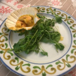 Rossi Nourriture