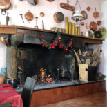 Tanamalia food