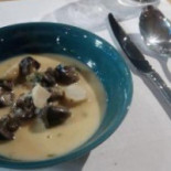 Cattaleya Cibo