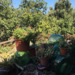 Agro Amici Pisconti À l'intérieur