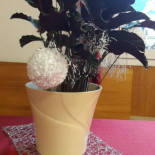 Alle Bocce À l'intérieur