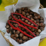 Dal Contadino food