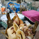 Alalunga Pescatori Savona food