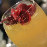 Fabric food