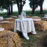 Villa Giustinian Comida