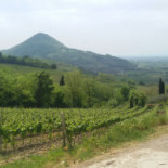 Toni Biseo Nourriture
