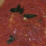 Doppio Zero Pizzeria Nourriture