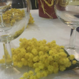 M&c Ciccio Comida