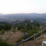 Al Golf Nourriture