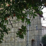 La Tana Degli Orsi food