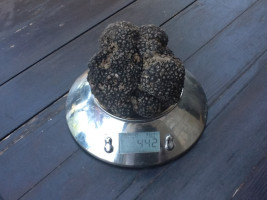 Osteria Belvedere food