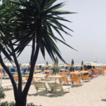 Bagno Oasis Dentro