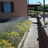 Agriturismo Il Cardellino