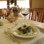 Olivo Comida