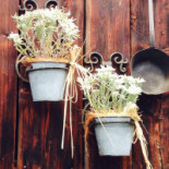 Malga Berger outside