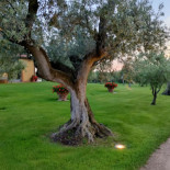 Osteria Caccia Al Piano