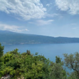 Paradiso Nourriture