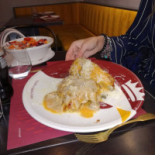 Gallus Cibo