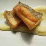 Comacina