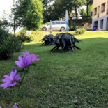 Albergo Montevenere Di Suppini Riccardo E Suppi Ni Cristian C