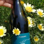 Baccanale Natural Wine Comida