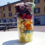 Ippococcolo Nourriture