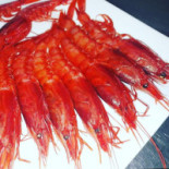Hippocampus Comida