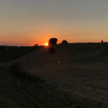 Birrificio Laurus Brewpub Agricolo food