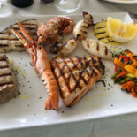 Salsadrena Nourriture