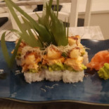 Masu Cibo