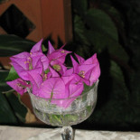 La Torretta Nourriture