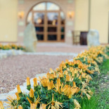 Locanda Deni Nourriture