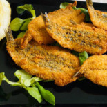 Cucco Nourriture