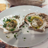 Planete Marine Comida