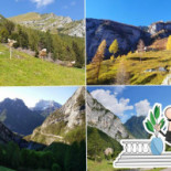 Rifugio Casera Mela À l'intérieur