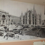 La Cicala food