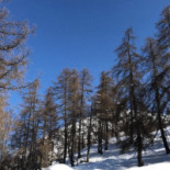 Rifugio Alpino Monza-bogani food