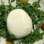 A Cantinella À l'intérieur