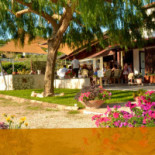 Tenuta Il Iv Miglio Nourriture