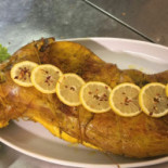 Zingaro Comida