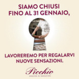 Picchio Nourriture