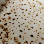Cà Nostra Nourriture